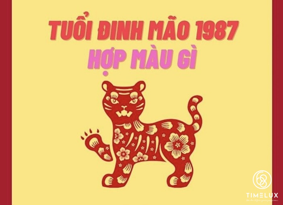 1987 hợp màu gì