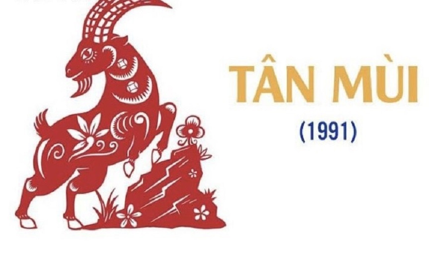 1991 hợp màu gì