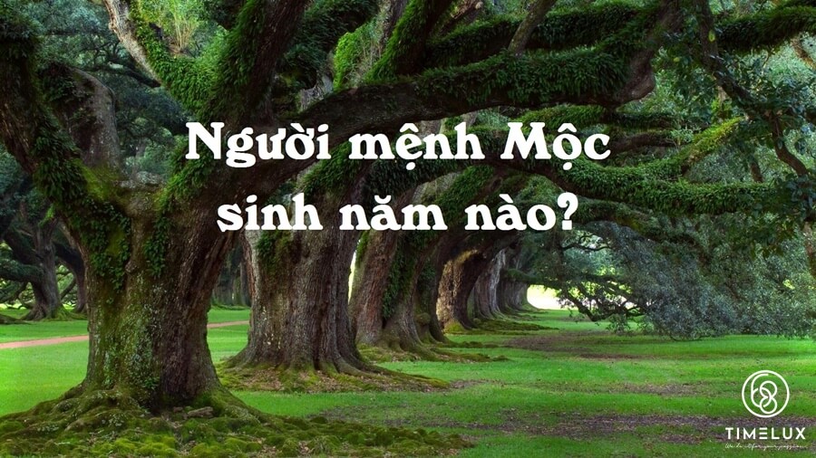 Mệnh Mộc sinh năm bao nhiêu