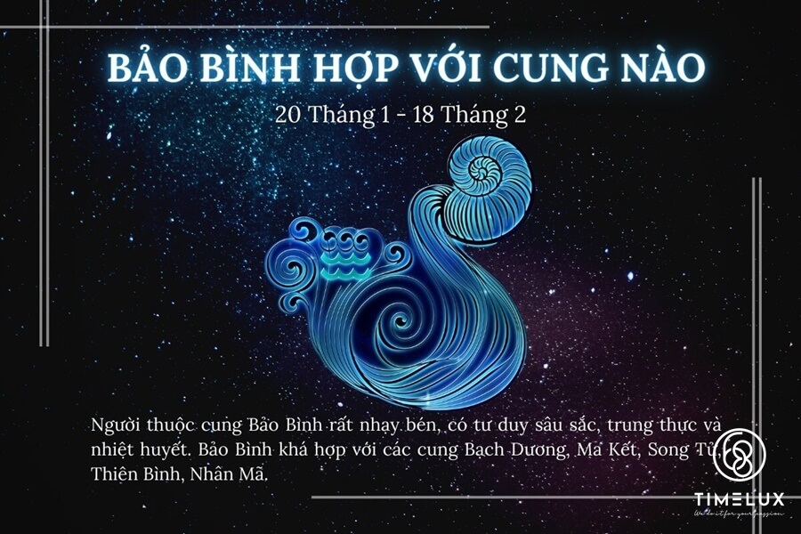 Bảo Bình hợp với cung nào