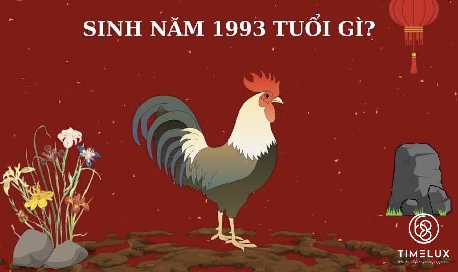 Sinh năm 1993 tuổi gì